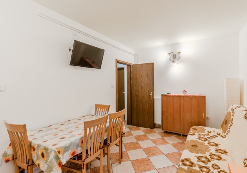 Apartment Silva Tolmin