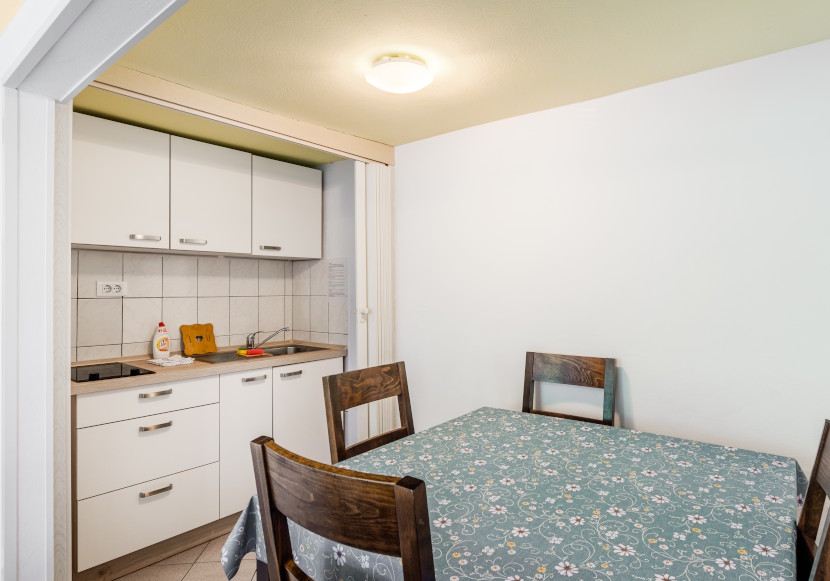 Apartments in Tolmin